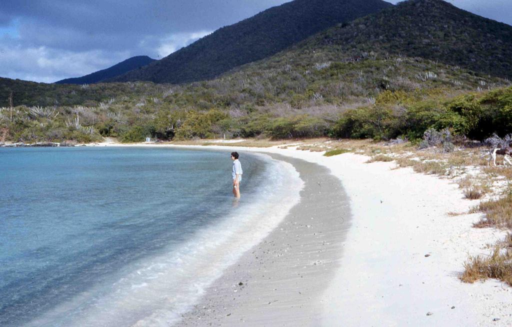 Salt Pond Bay.jpg